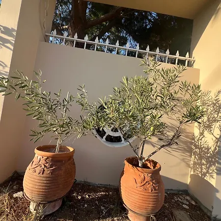 Sea & Sun Retreat Vakantiehuis
